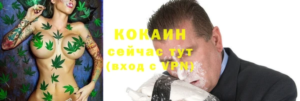 ECSTASY Богородицк
