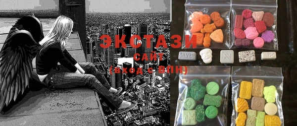 ECSTASY Богородицк