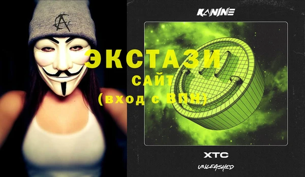 ECSTASY Богородицк