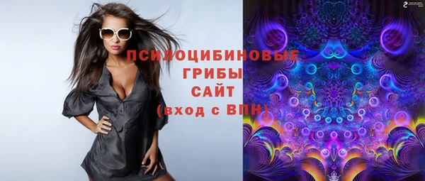 мескалин Богданович