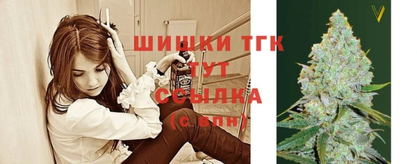 ECSTASY Богородицк