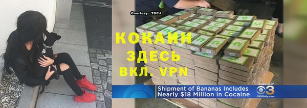 ECSTASY Богородицк